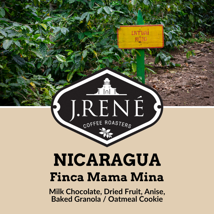 Nicaragua Finca Mama Mina