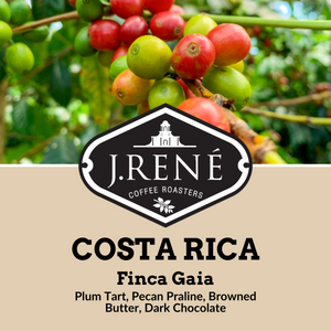 Costa Rica Finca Gaia - Roaster's Choice