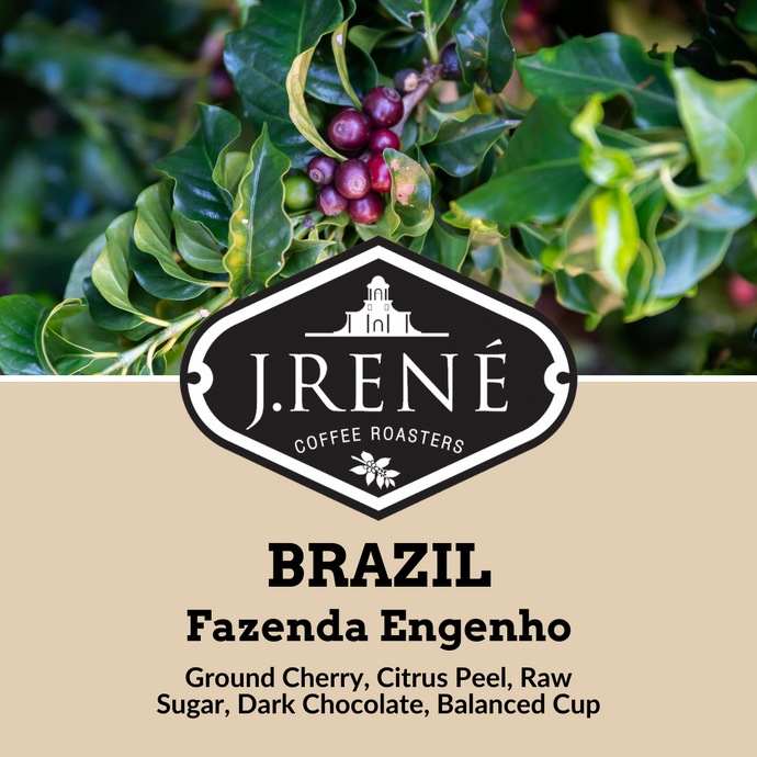 Brazil Fazenda Engenho