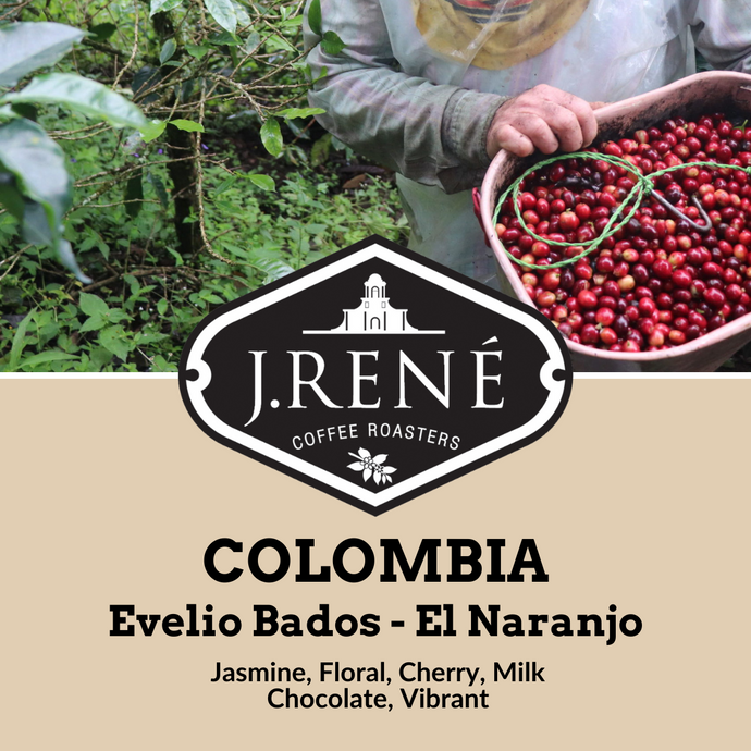 Colombia Finca El Naranjo