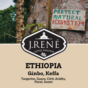 Ethiopia Ginbo Keffa
