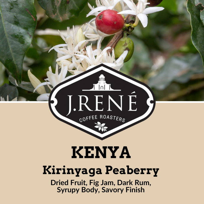 Kenya Kirinyaga Peaberry