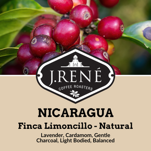 Nicaragua Finca Limoncillo - Natural Process