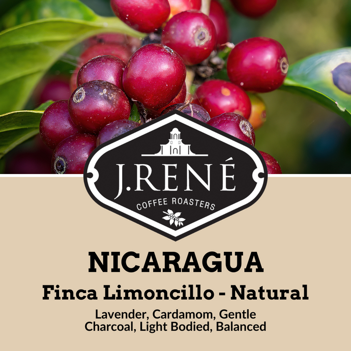 Nicaragua Finca Limoncillo - Natural Process