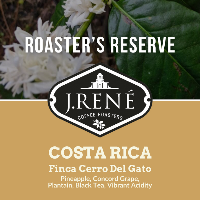Roaster's Reserve: Costa Rica Finca Cerro Del Gato, Geisha